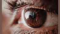 Cientistas reativam células nervosas responsáveis pela visão