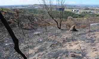  Vegetao destruda em incndio ocorrido no dia 16 no Parque Estadual Serra Verde, atrs da Cidade Administrativa: cerca de 20% da rea foi atingida(foto: Beto Novaes/EM/DA Press)