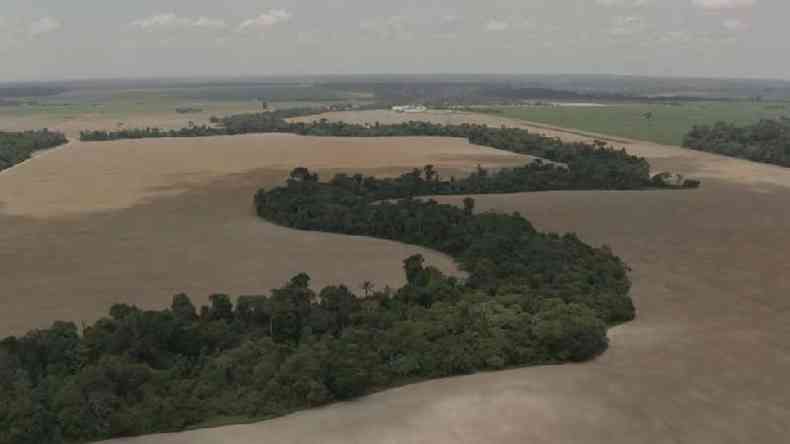 Fazendas de soja em Rondnia(foto: BBC)