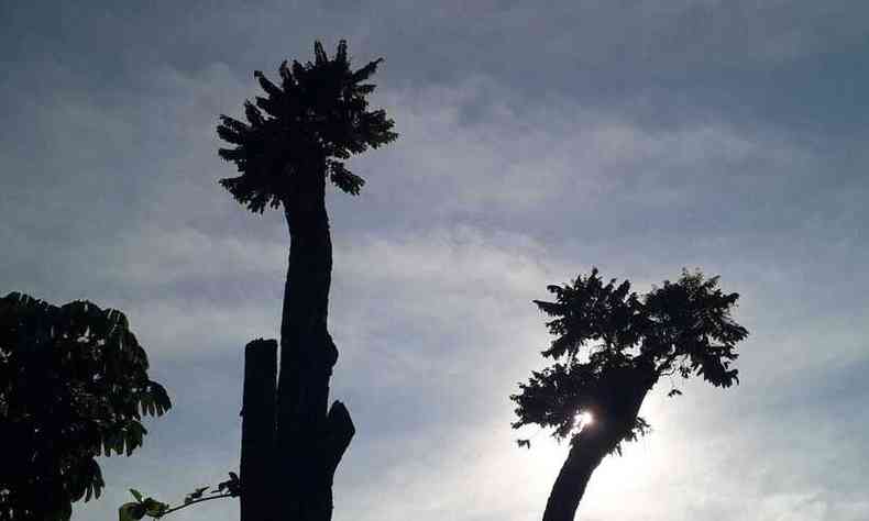 foto do cu claro com sol na manh desta quinta em BH