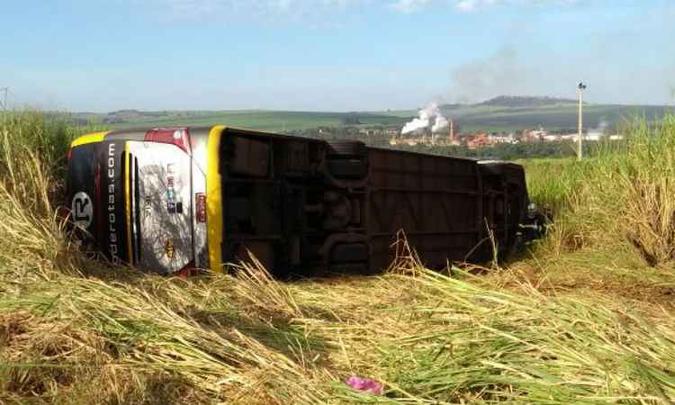 O veículo saiu da pista e tombou em uma matagal às margens da rodovia(foto: Corpo de Bombeiros/Divulgação ) O veículo saiu da pista e tombou em uma matagal às margens da rodovia(foto: Corpo de Bombeiros/Divulgação )