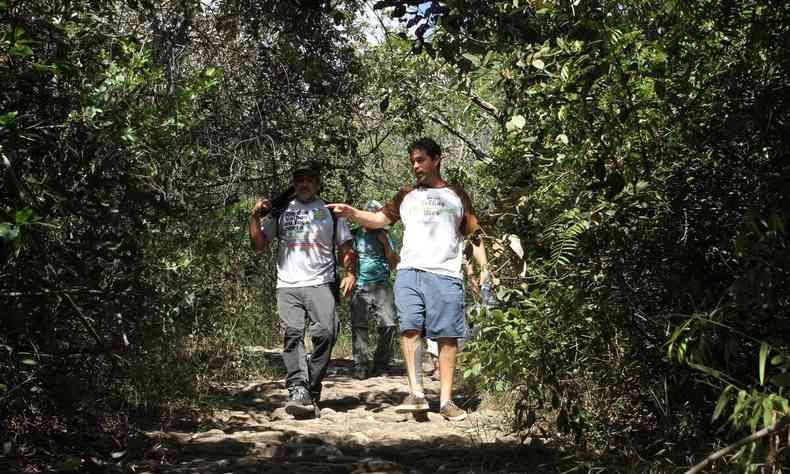 Pessoas caminham por uma trilha cercada mato