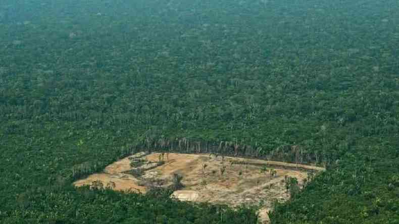 Ambientalistas dizem que aprovao da proposta de Iraj alimentaria a grilagem de terras, uma das principais causas para o desmatamento na Amaznia(foto: AFP)