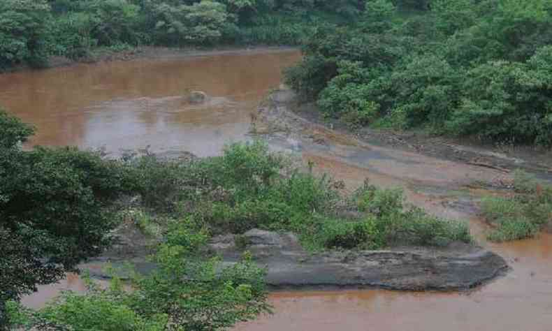 Rio Paraopeba apresentou contaminao de diversos metais, que, segundo a Fiemg, no teriam a ver com o rompimento da barragem da Vale (foto: Leandro Couri/EM/D.A Press)