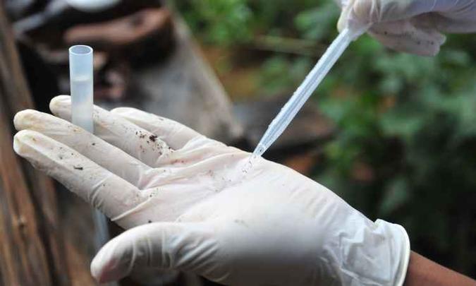 Cuidados devem ser tomados no primeiro trimestre, quando há aumento do número de casos da doença. Ela é transmitida pelo mosquito Aedes Aegypti(foto: Leandro Couri/EM/D.A Press) Cuidados devem ser tomados no primeiro trimestre, quando há aumento do número de casos da doença. Ela é transmitida pelo mosquito Aedes Aegypti(foto: Leandro Couri/EM/D.A Press)