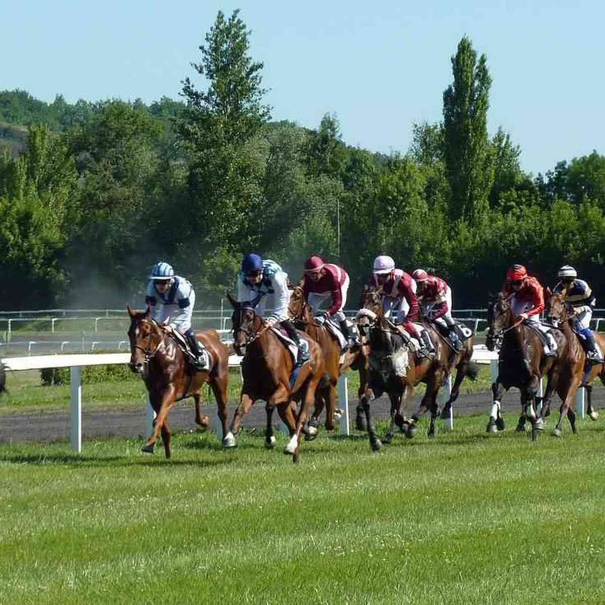 Legalização dos jogos de azar anima setor de corridas de cavalo no