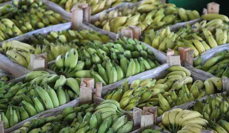 Bananas  venda em feira do Ceasa.