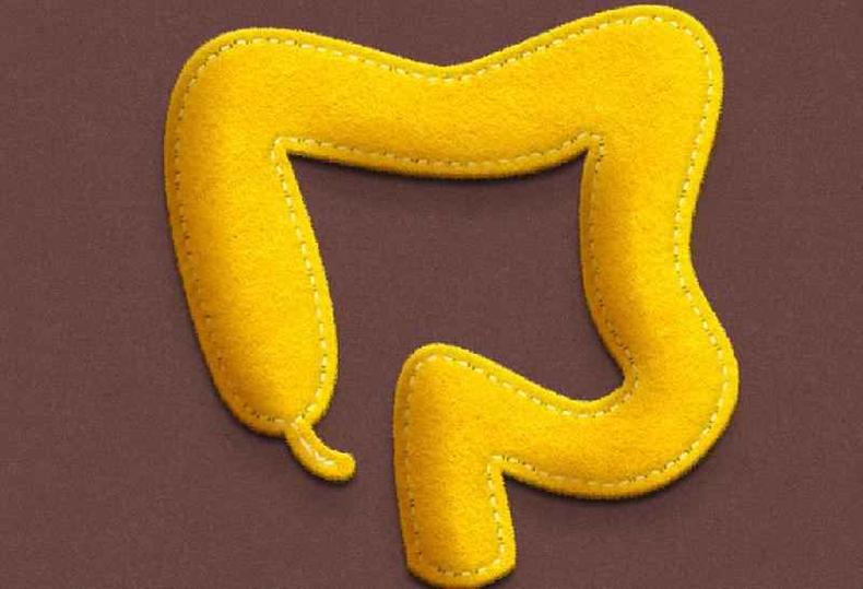 Intestino feito de feltro