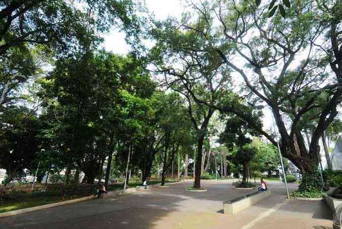 Parque abriga bosque com paineiras, oitis, palmeiras e outras espcies: retiro em plena metrpole (foto: Euler Junior/EM/D.A Press )