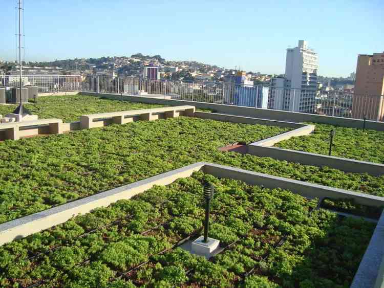 O telhado verde absorve o som e reduz rudos