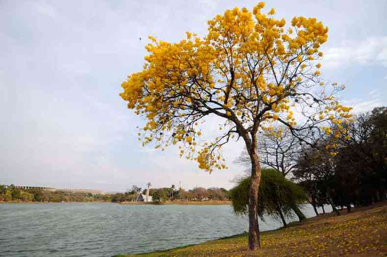 Lagoa da Pampulha, na capital mineira(foto: carlos altman/em/d. a press)