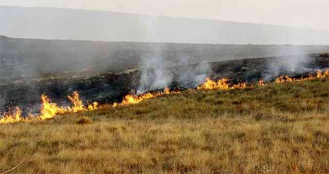 Brigadistas acreditavam que as chamas iriam cessar durante a noite(foto: ICMBio/Divulgao)