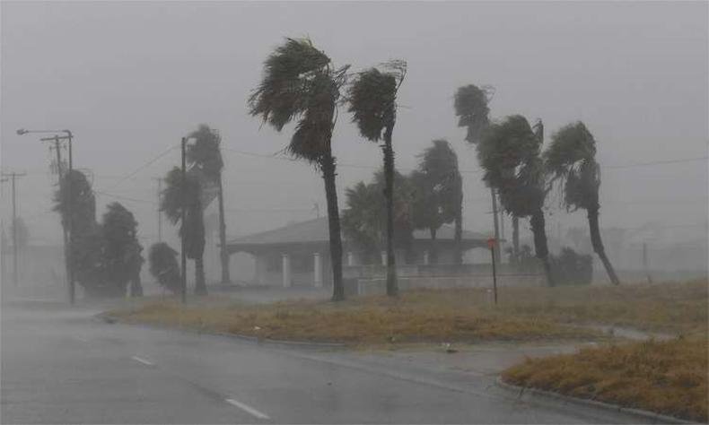 (foto: Mark Ralston/AFP )