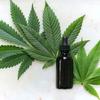 Cannabis está sendo utilizada para aliviar sintomas da menopausa