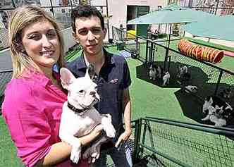 Daniela e Fabiano Guimares, da Animalle Mundo Pet: investimento de R$ 2 milhes no mega pet shop(foto: Maria Tereza Correia/EM DA Press)