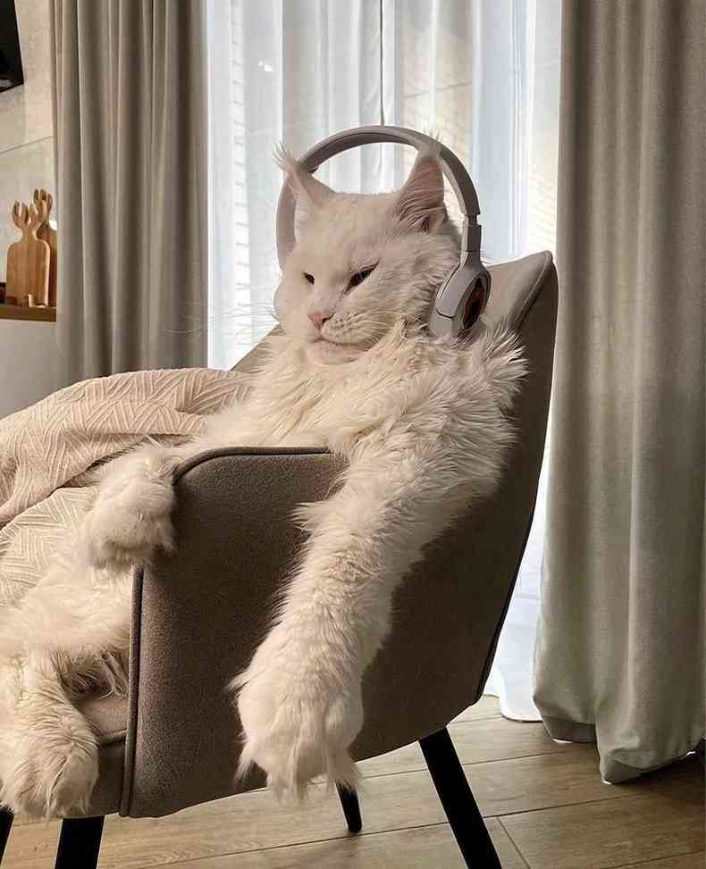 Gato gigante sentado em poltrona com fone de ouvido