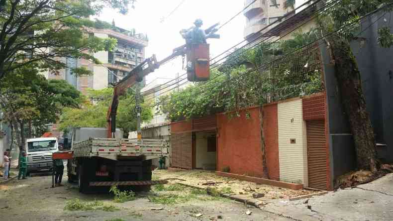 Em BH, rvore bloqueou acesso a casa no Bairro Sion(foto: Juarez Rodrigues/EM/D.A Press)