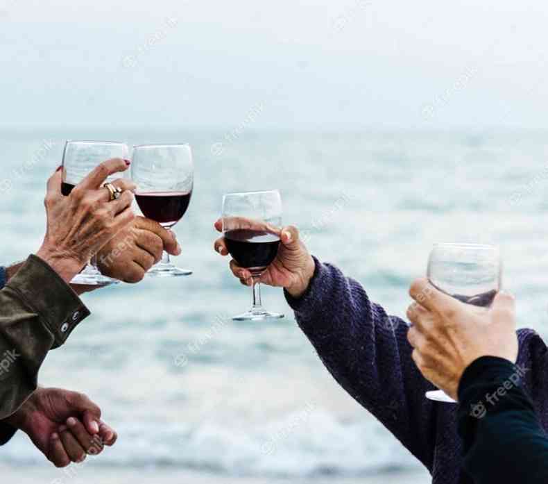 amigos brindam com taas de vinho  beira-mar