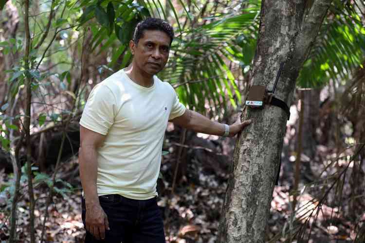 Raimundo Gomes instala ''Curupira'' (guardião mitológico da floresta) com objetivo de ajudar no combate ao desmatamento florestal