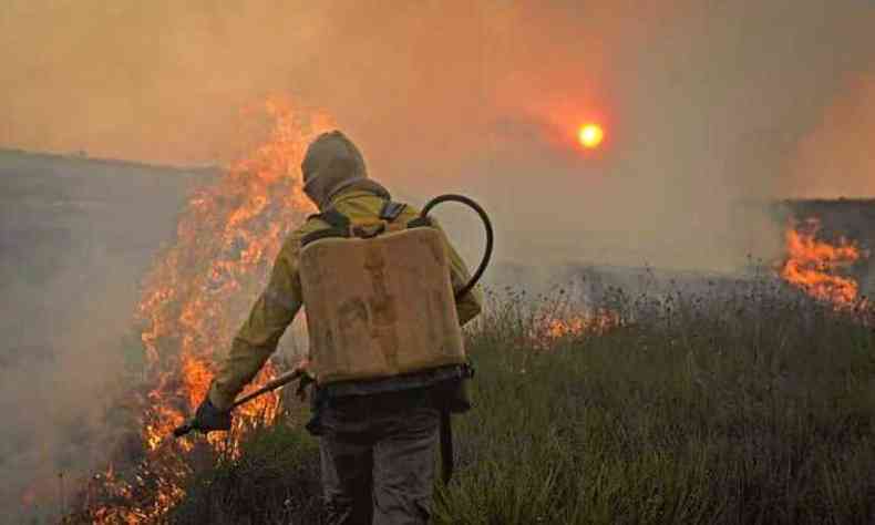 Brigadista combate o fogo no setor Alto Palcios em 2014. Hoje, o mesmo local est em chamas com uma linha dura de fogo(foto: Leandro Couri/EM/D.A Press)