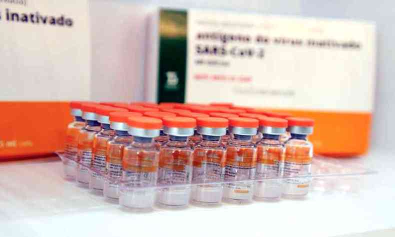 Doses da vacina Coronavac, imunizante que ser aplicado nos idosos hoje (foto: Governo de SP/Divulgao -19/1/20)
