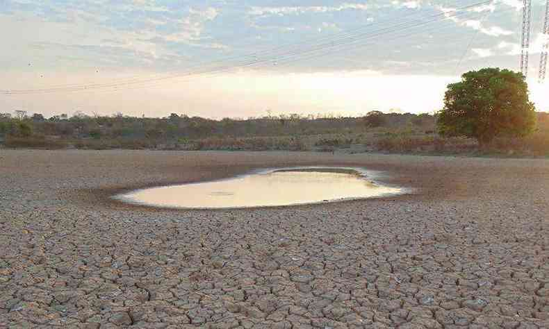 Em Francisco S, no Norte de Minas, uma lagoa que tinha mais de um hectare de lmina d'gua foi reduzida a uma poa de lama