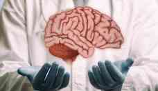 Por que ainda não é possível fazer um transplante de cérebro