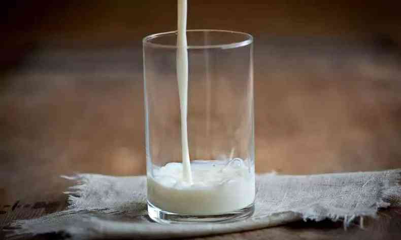 Na foto, copo de leite ilustrativa