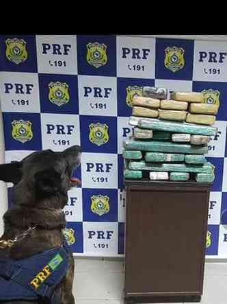 Tabletes pesaram 27 quilos, segundo a PRF(foto: PRF/Divulgao)