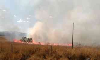 Chamas se alastraram rapidamente (foto: MST )