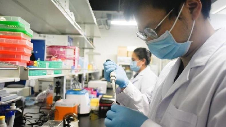 Uma das primeiras tarefas dos cientistas foi estudar e sequenciar o genoma do coronav�rus(foto: Getty Images)