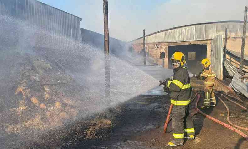 Na foto, bombeiros esfriam serragem para conter chamas