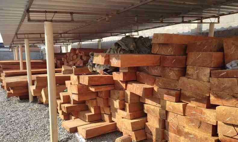 Policiais apreenderam 349 peças de madeira, entre vigas e pranchas, na ação deflagrada na sexta-feira (24/9) e no sábado (25/9)(foto: PMMG/Divulgação)