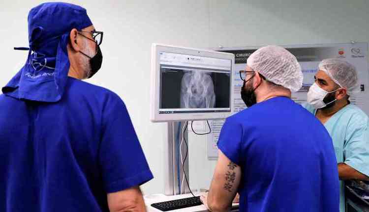 Mdicos observam raio-X do quadril de paciente