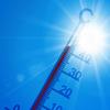 Poucos dias de calor bastam para colocar milhões em insegurança alimentar