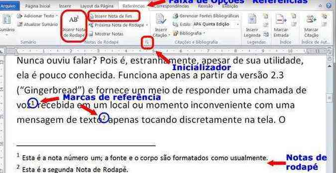 Inserir notas de rodapé e notas de fim - Suporte da Microsoft