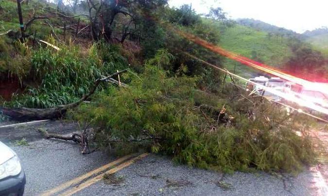 Com queda de árvores, rodovia está parcialmente interditada em Nova Era(foto: PRF/Divulgação) Com queda de árvores, rodovia está parcialmente interditada em Nova Era(foto: PRF/Divulgação)