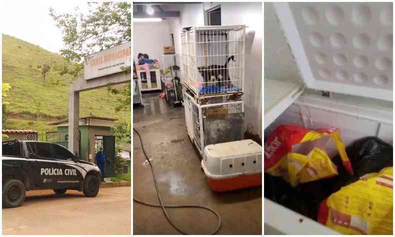 Montagem de três fotos mostra a Polícia Civil no local, o ambiente do canil e sacos dentro de um freezer