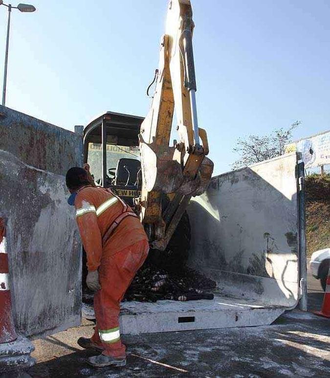 (foto: Funcionários da concessionária que administra a BR-381 recolhem garrafas) (foto: Funcionários da concessionária que administra a BR-381 recolhem garrafas)