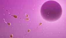 Contraceptivo que impede espermatozoide de alcanar vulo deve demorar para chegar s prateleiras