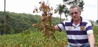 O feijo que Carlos Gregrio Ferreira plantou em Jaboticatubas no se desenvolveu sem as chuvas (foto: Edsio Ferreira/EM/D.A Press)