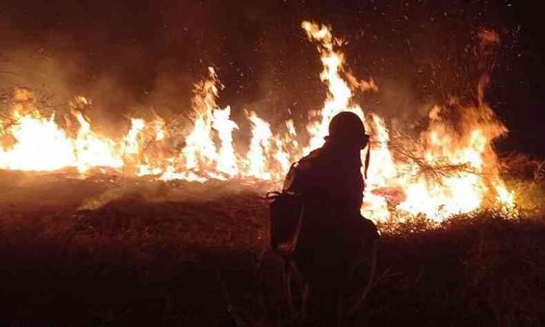 Incndio em reserva florestal de Boa Esperana queimou cerca de 12 hectares de mata