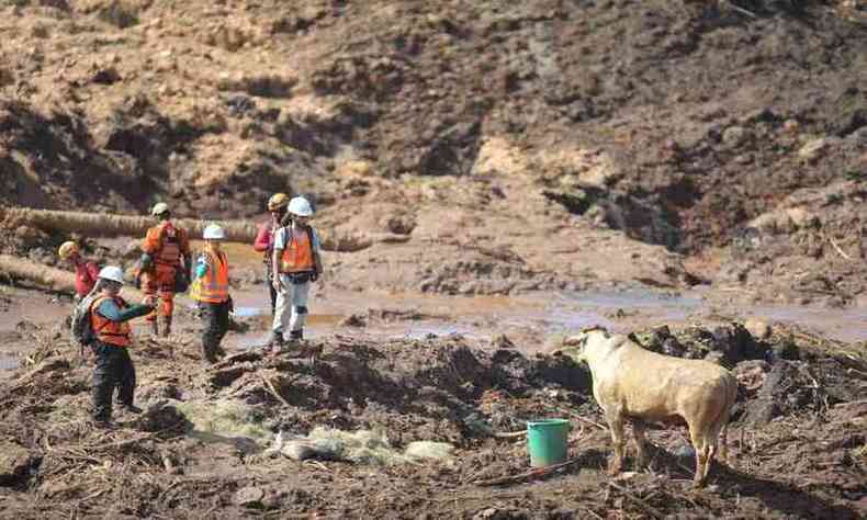 Rompimento da barragem B1 da Mina do Feijão, em Brumadinho, matou 270 pessoas em 25 de janeiro de 2019(foto: Alexandre Guzanshe/EM)