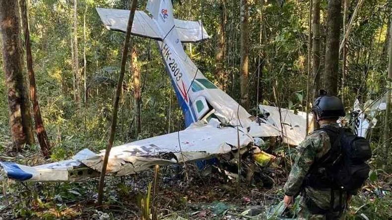 Avio cado em meio  floresta