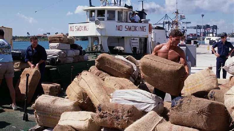 Homens carregapacotes em frente a um barco em uma marina