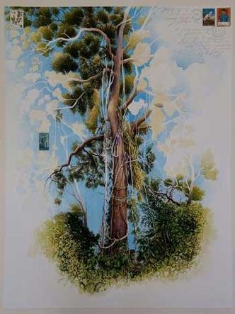 Jequitib�, desenho de Mario Zavagli (foto: Mario Zavagli/divulga��o)