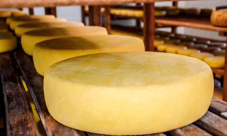 Fotografia mostra queijo canastra 