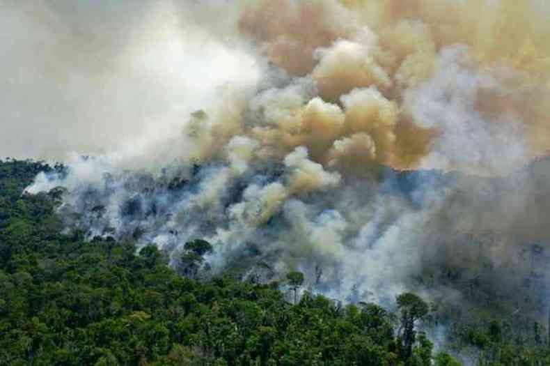 Foto area tirada em 16 de agosto de 2020 de uma rea de reserva da floresta amaznica em chamas(foto: Carl de Souza/AFP)