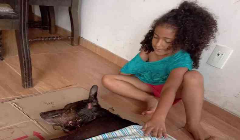 Menina ao lado de cachorro deitado com ferimentos na cabea