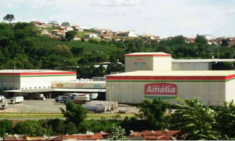 Empresa mineira teve receita lquida de R$ 476 milhes em 2020(foto: Santa Amlia/Divulgao)